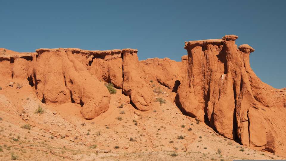 Image 8 of 12