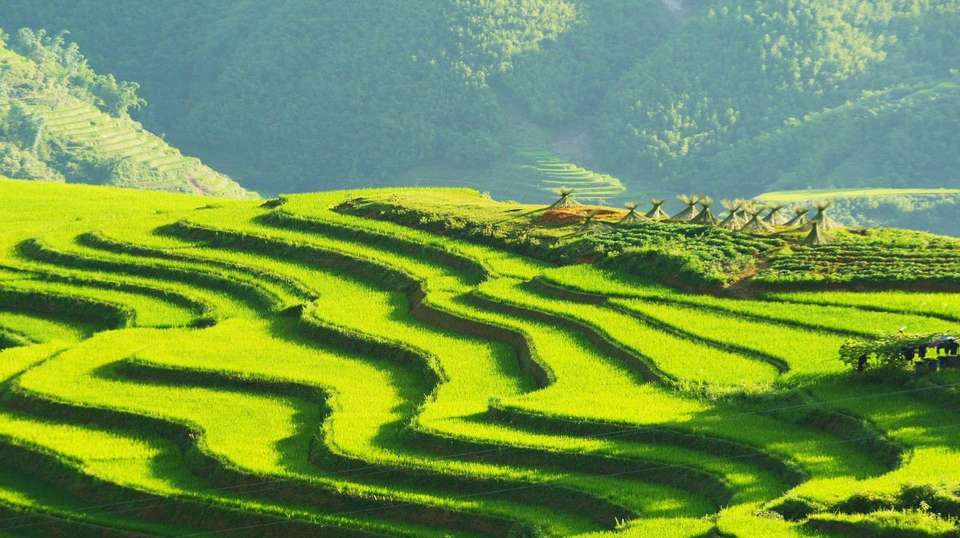 The Best of North Vietnam: 6 Days - Phu Quoc Island Explorer - Vietnam - Image 2