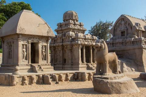 The Best Of South India, French-speaking Guide, Private Tour - March 2026