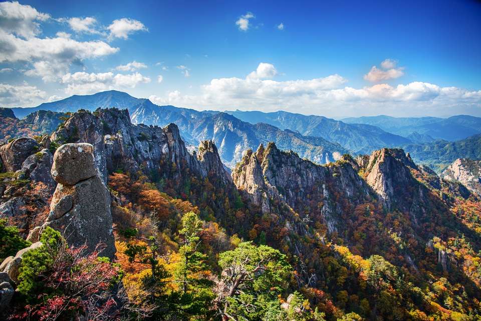 The Best of South Korea Tour - Tweet World Travel - South Korea - Image 6