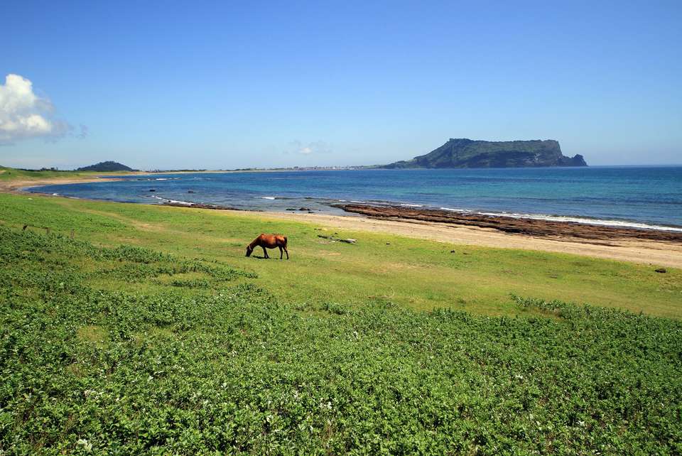The Best of South Korea Tour - Tweet World Travel - South Korea - Image 11