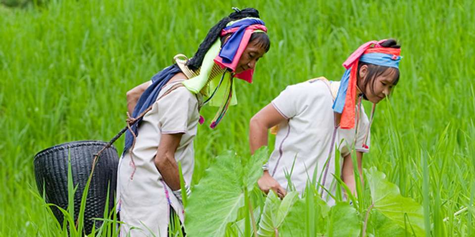 The Best of Thailand - 12 days - On The Go Tours - Thailand - Image 7