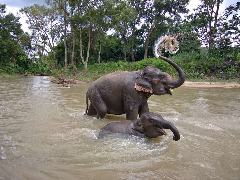 The Best of Thailand - 12 days - On The Go Tours - Thailand - Image 8