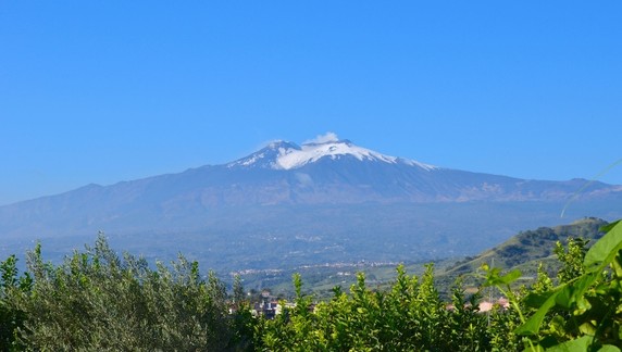 Image 5 of 8