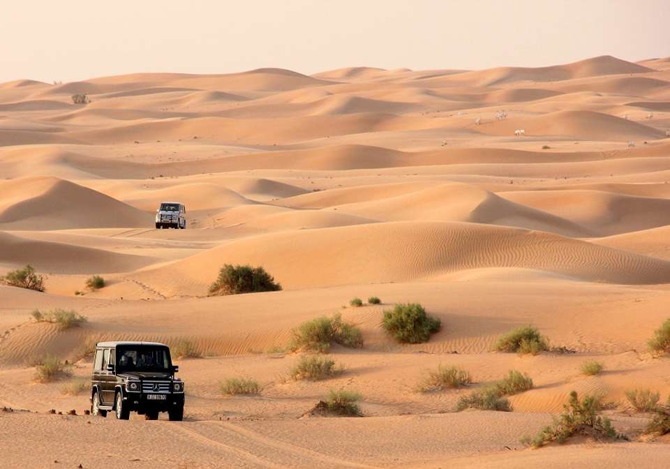 The Best of the UAE and Zanzibar - Indus Travels - UAE - Image 4