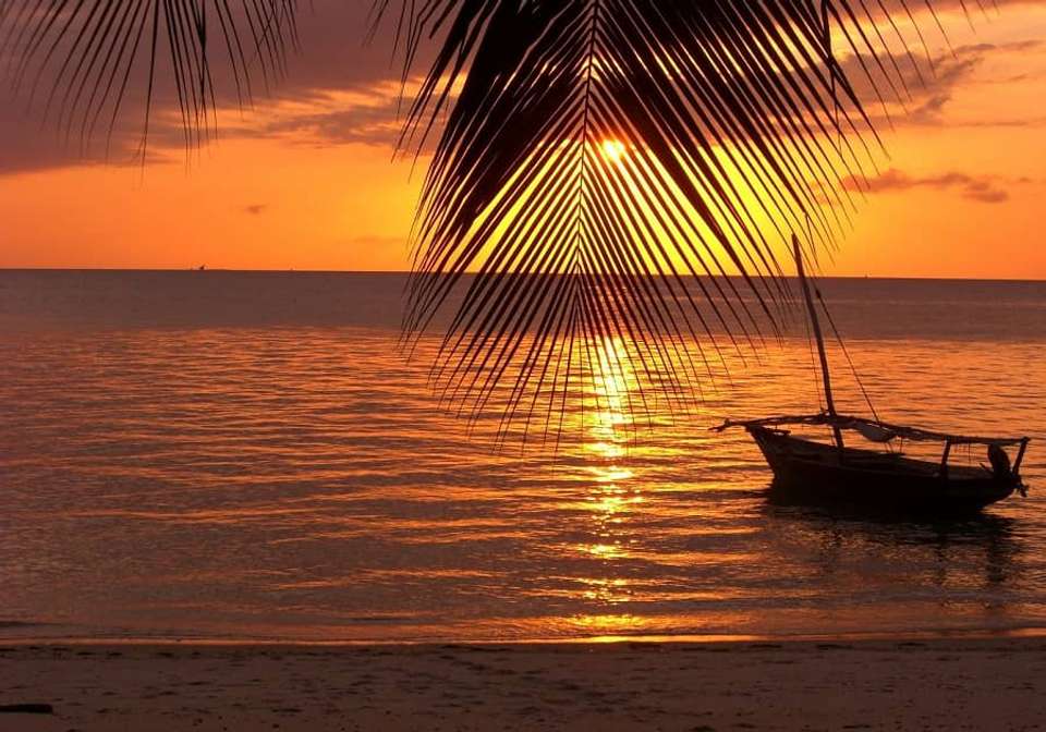 The Best of the UAE and Zanzibar - Indus Travels - UAE - Image 5