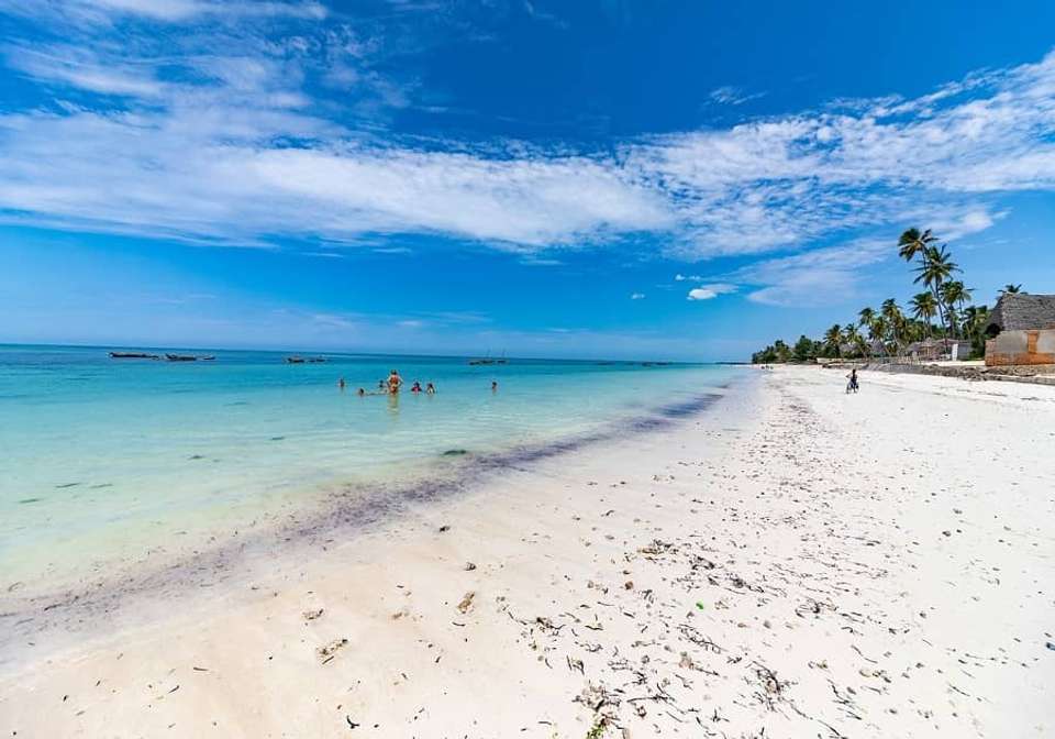 The Best of the UAE and Zanzibar - Indus Travels - UAE - Image 7