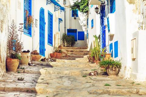 Beach Tour: The Best Of Tunisia & All-inclusive Beach Extension (stay Connected), Small Group Tour
