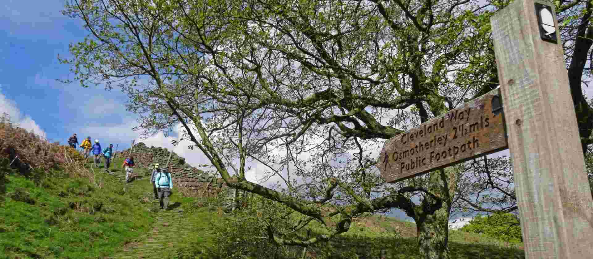 The Cleveland Way