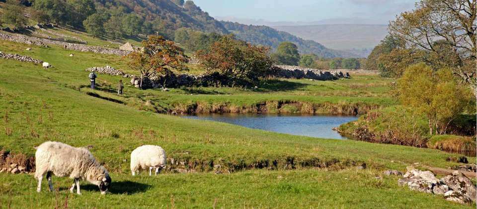 The Dales Way - World Expeditions - England - Image 2