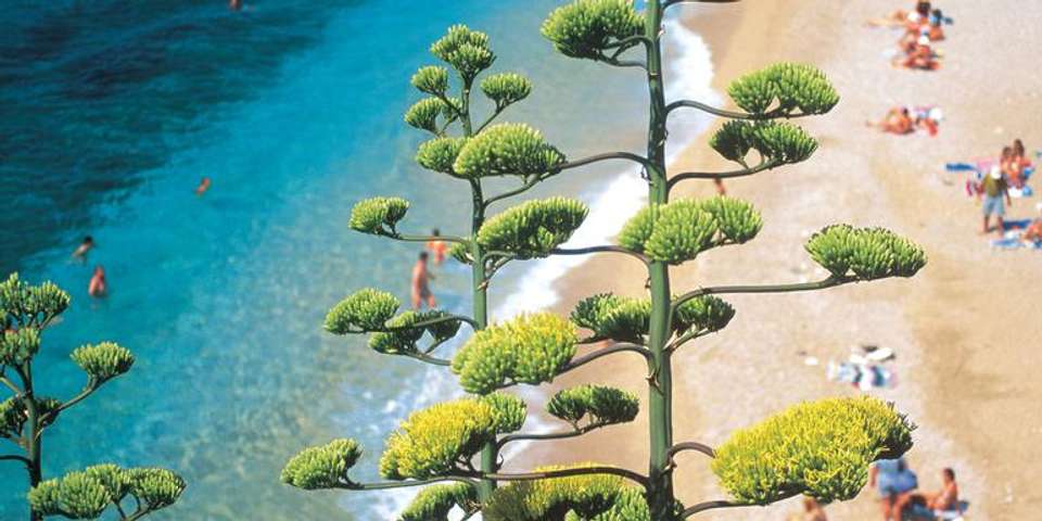 The Dalmatian Coast: Croatia, Corfu & Medieval Cities - G Adventures - Italy - Image 1