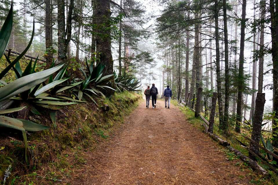 The Enchanting Sierra Norte Trek 3D/2N - Bamba - Mexico - Image 2