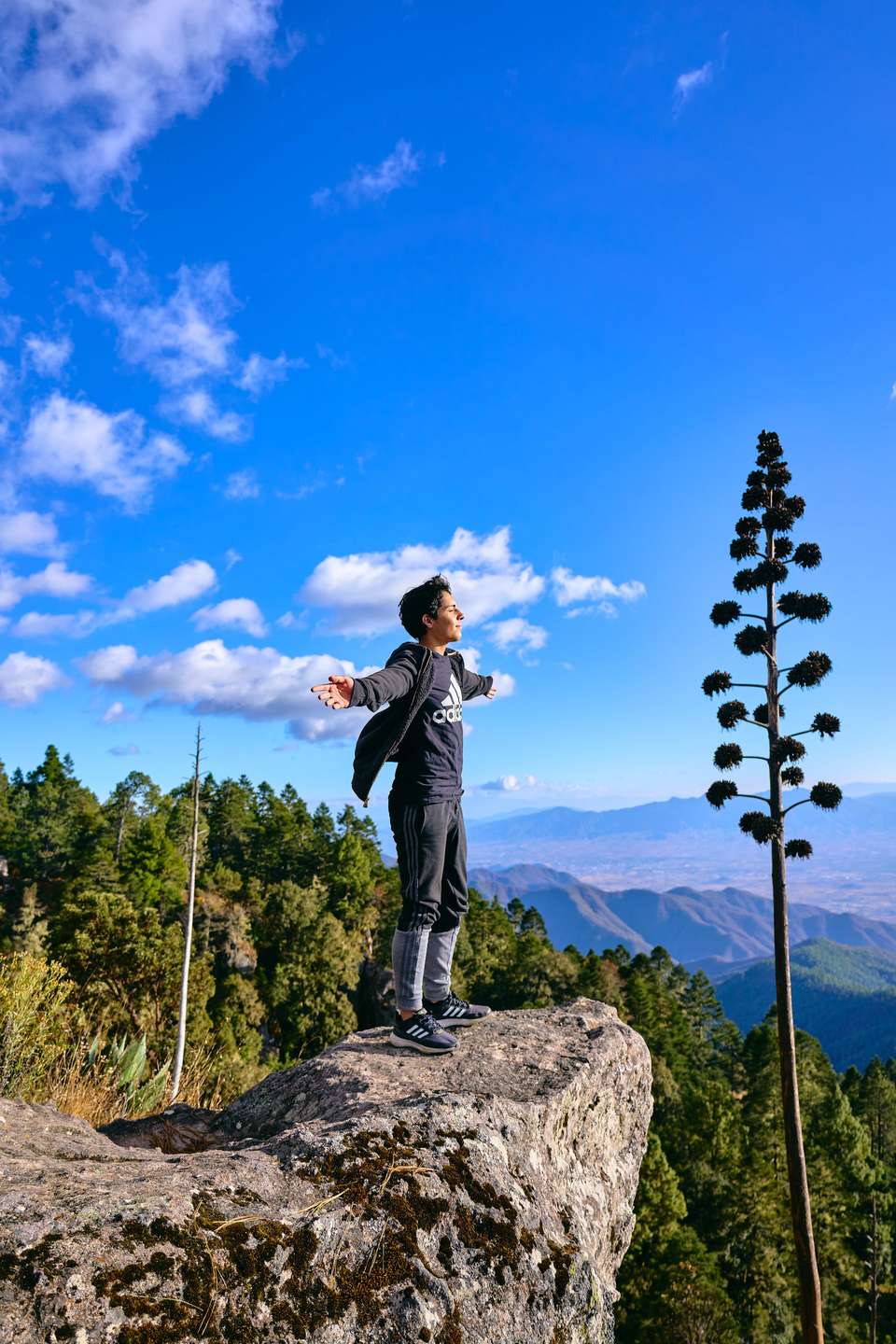 The Enchanting Sierra Norte Trek 3D/2N - Bamba - Mexico - Image 4
