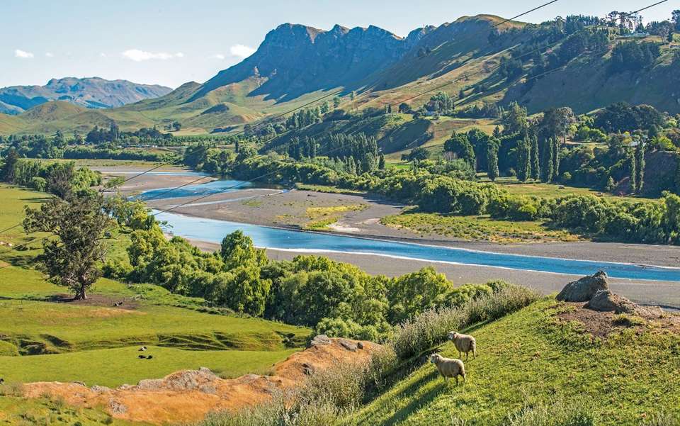 The Endless Shores - Luxury Gold - New Zealand - Image 5