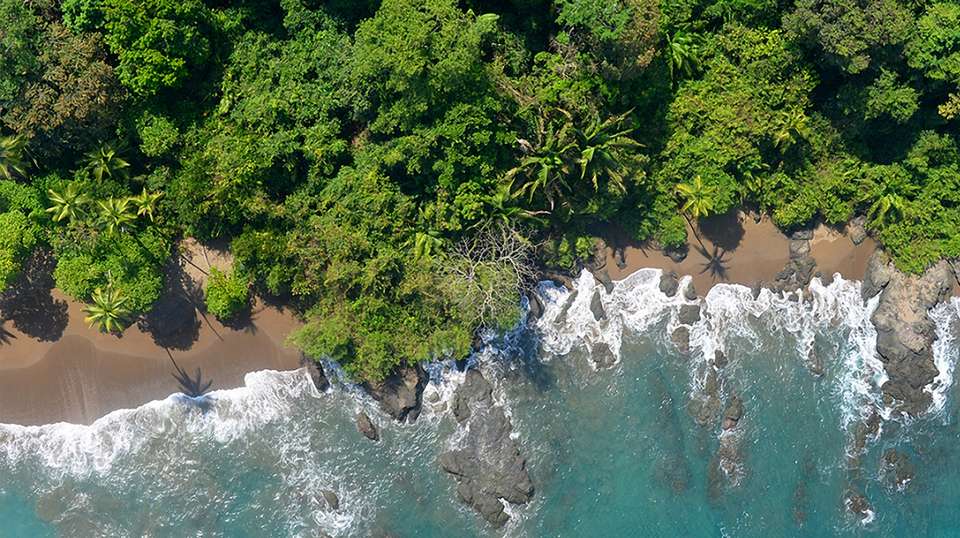 The Essence of Costa Rica: Pure Nature - Destiny Travel Costa Rica - Costa Rica - Image 2