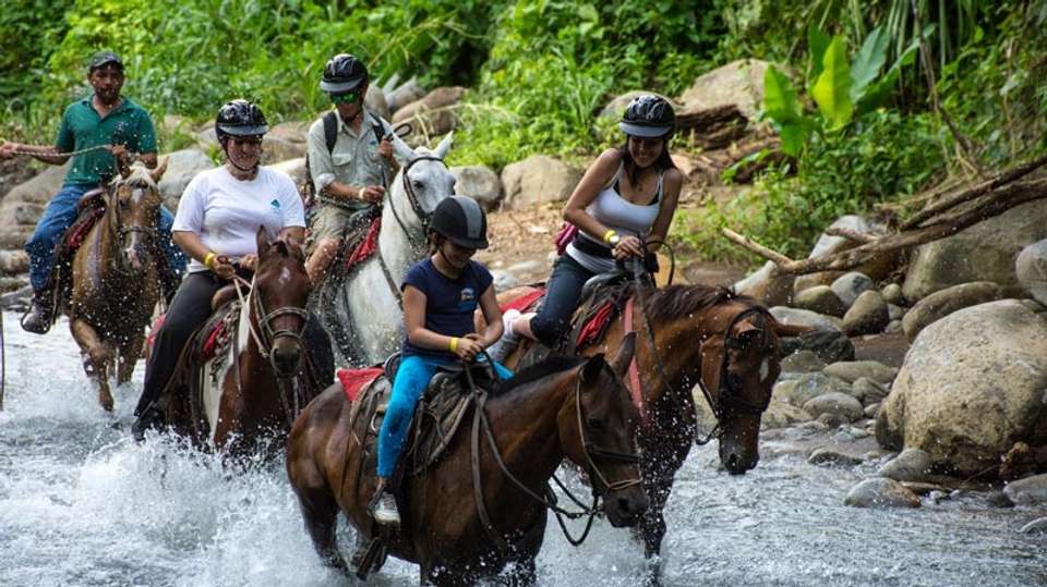 The Essence of Costa Rica: Pure Nature - Destiny Travel Costa Rica - Costa Rica - Image 13