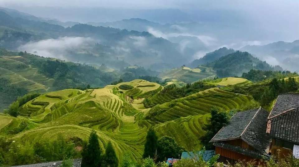 The Essence of Guilin - Truly China Travel - China - Image 7
