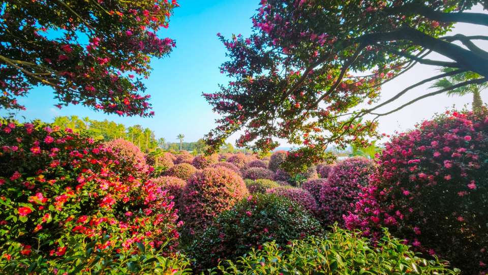 The Essence of Korea and Jeju Island - Europamundo - South Korea - Image 6