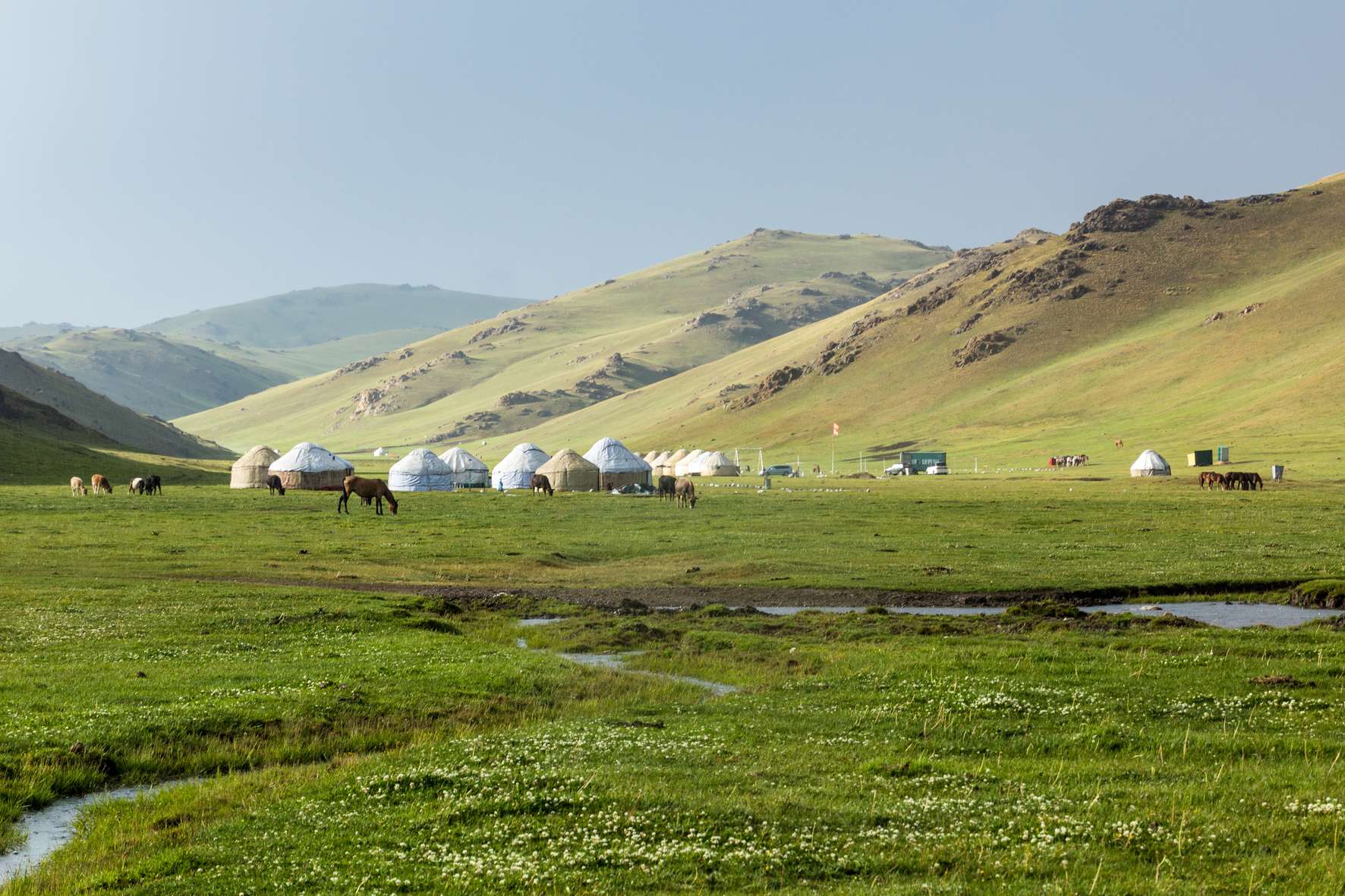 Image 1 of 24