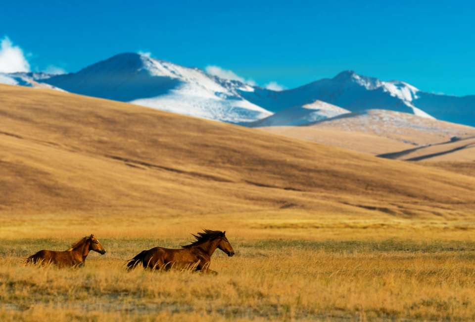 The Five Stans of the Silk Road - Almaty to Ashgabat - Exodus Adventure Travels - Kazakhstan - Image 11