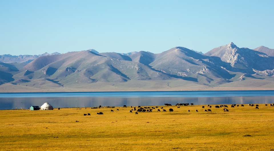 The Five Stans of the Silk Road - Almaty to Ashgabat - Exodus Adventure Travels - Kazakhstan - Image 10