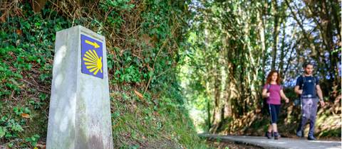 Walking Tour: The Full Camino Primitivo
