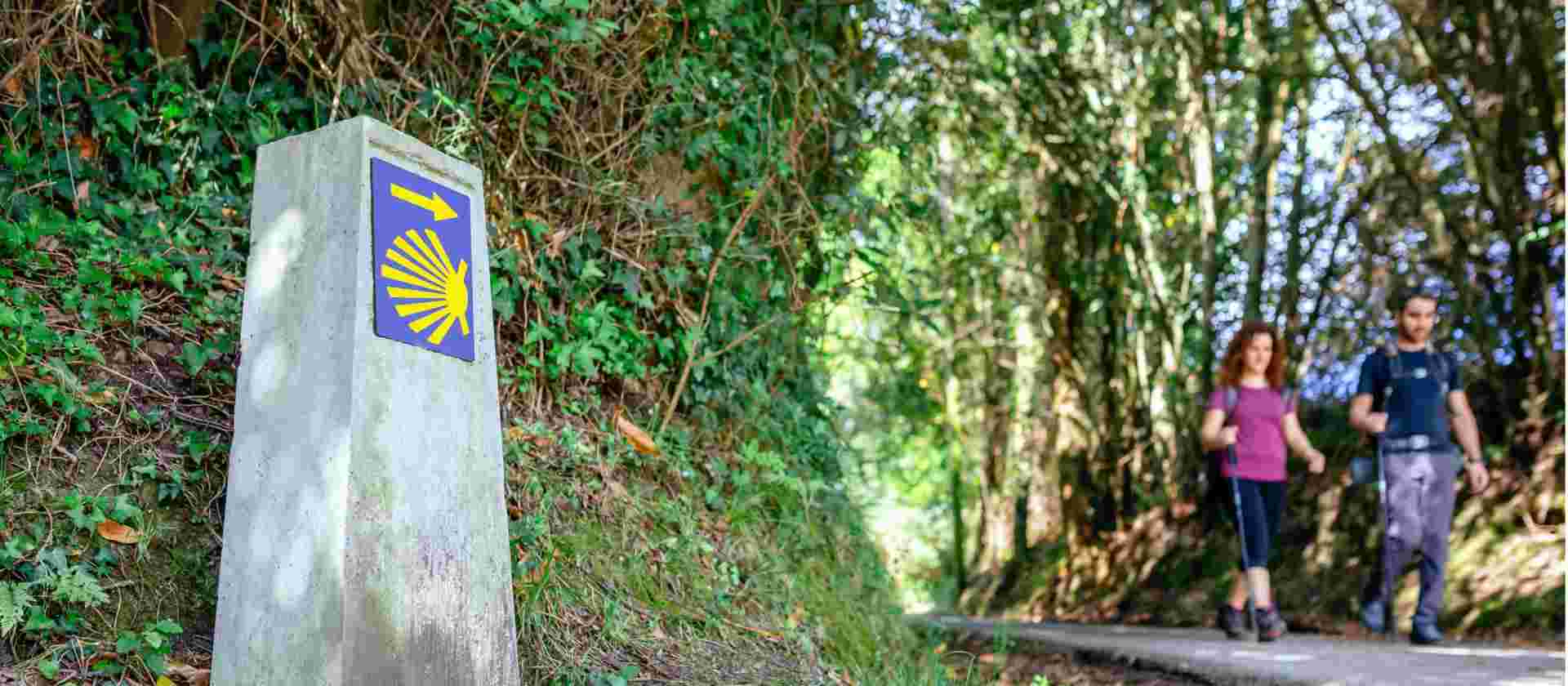 The Full Camino Primitivo