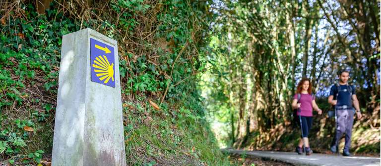 The Full Camino Primitivo trip - alternative tour available