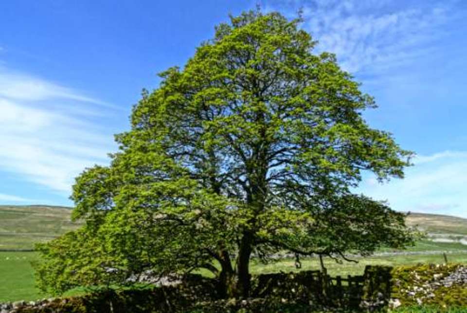 The Full Pennine Way - undefined - Image 10