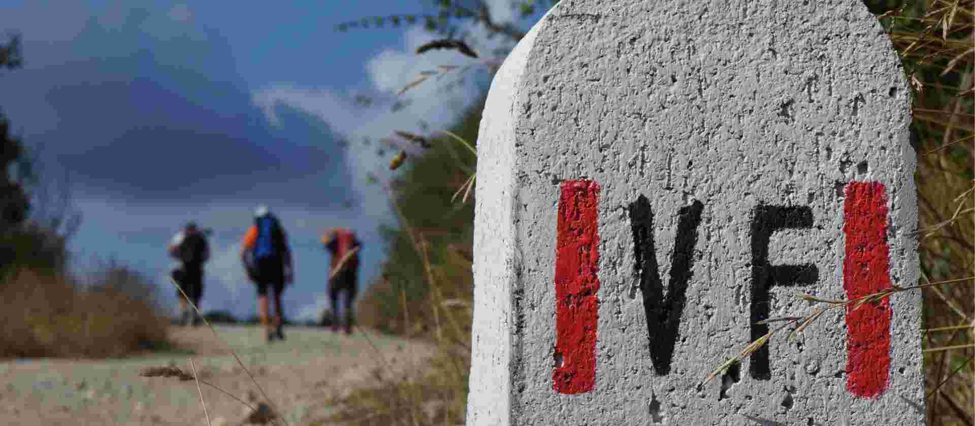 The Full Via Francigena
