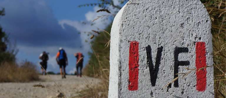 The Full Via Francigena trip - alternative tour available