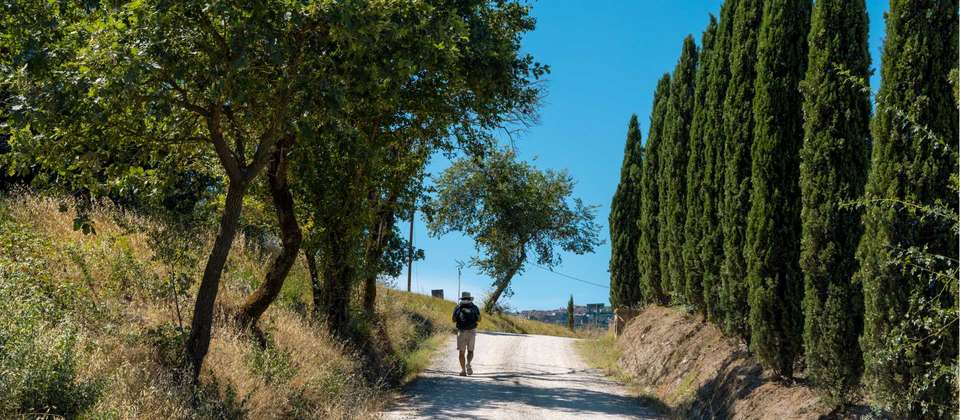 The Full Via Francigena - Utracks - Switzerland - Image 2