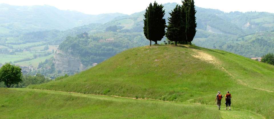 The Full Via Francigena - Utracks - Switzerland - Image 7