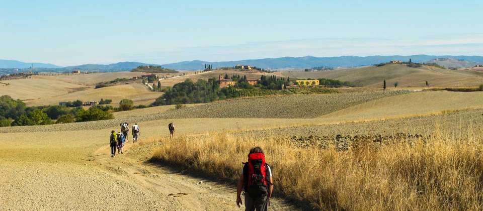 The Full Via Francigena - Utracks - Switzerland - Image 8