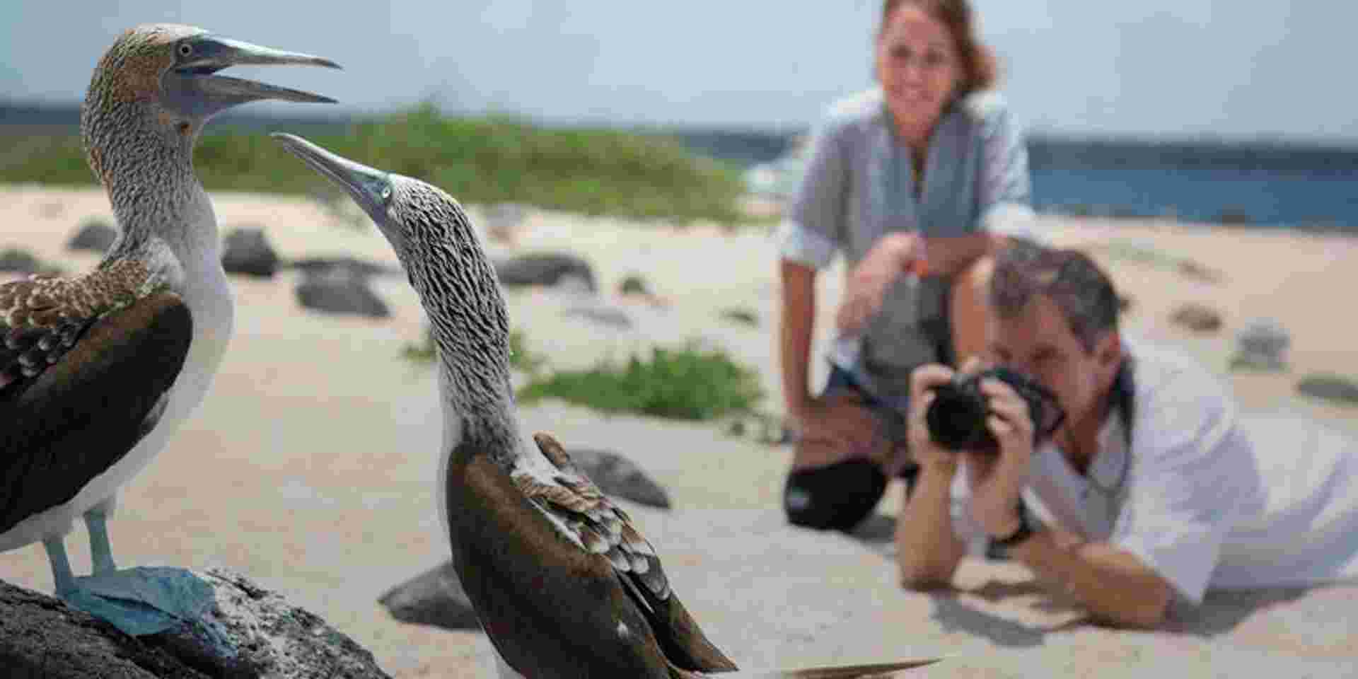 The Galápagos: Wildlife of Santa Cruz & Isabela Islands