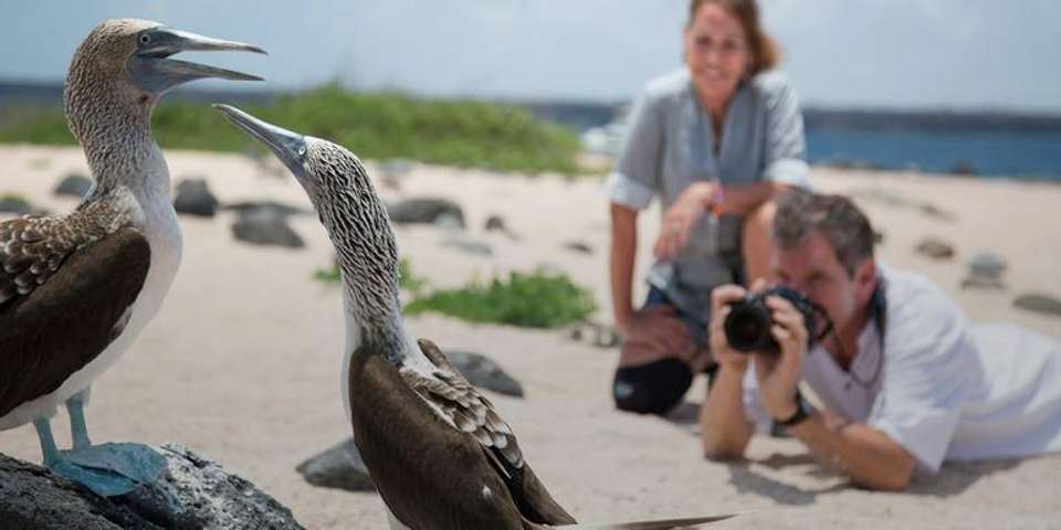 The Galápagos: Wildlife of Santa Cruz & Isabela Islands - G Adventures - Ecuador - Image 1