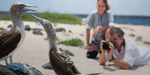 The Galápagos: Wildlife Of Santa Cruz & Isabela Islands - December 2026
