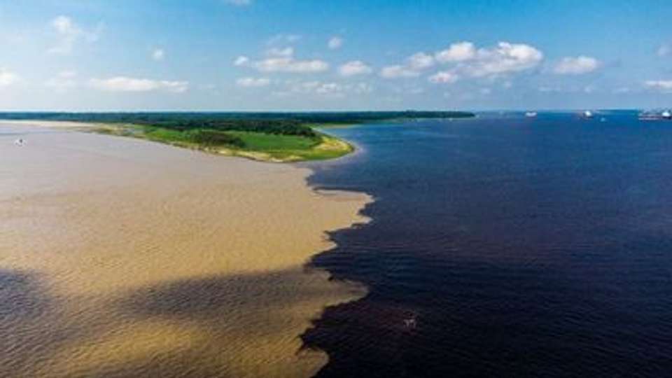 The Gentle Amazon and the Tapajós River - An enchanting and intimate cruise to the Amazon's most beautiful beaches (port-to-port cruise) - Croisieurope - Brazil - Image 9