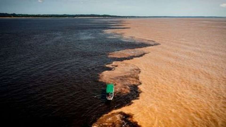 The Gentle Amazon and the Tapajós River - An enchanting and intimate cruise to the most beautiful beaches of the Amazon - Rio, vibrant and timeless, and an exceptional stay at the Iguaçu Falls (port-to-port cruise) - Croisieurope - Brazil - Image 14