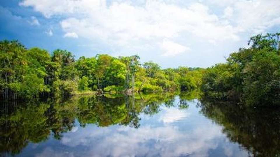 The Gentle Amazon and the Tapajós River - An enchanting and intimate cruise to the most beautiful beaches of the Amazon - Rio, vibrant and timeless, and an exceptional stay at the Iguaçu Falls (port-to-port cruise) - Croisieurope - Brazil - Image 2