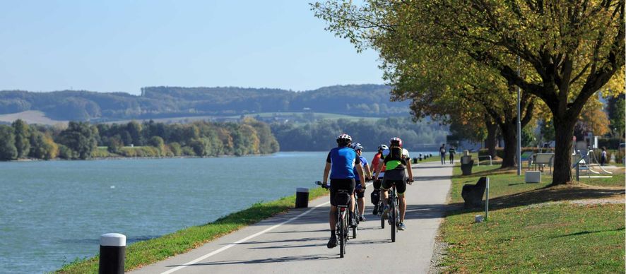 TOP TOURS