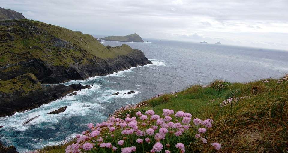The Grand Ireland Wild Atlantic Way - Indus Travels - Ireland - Image 6