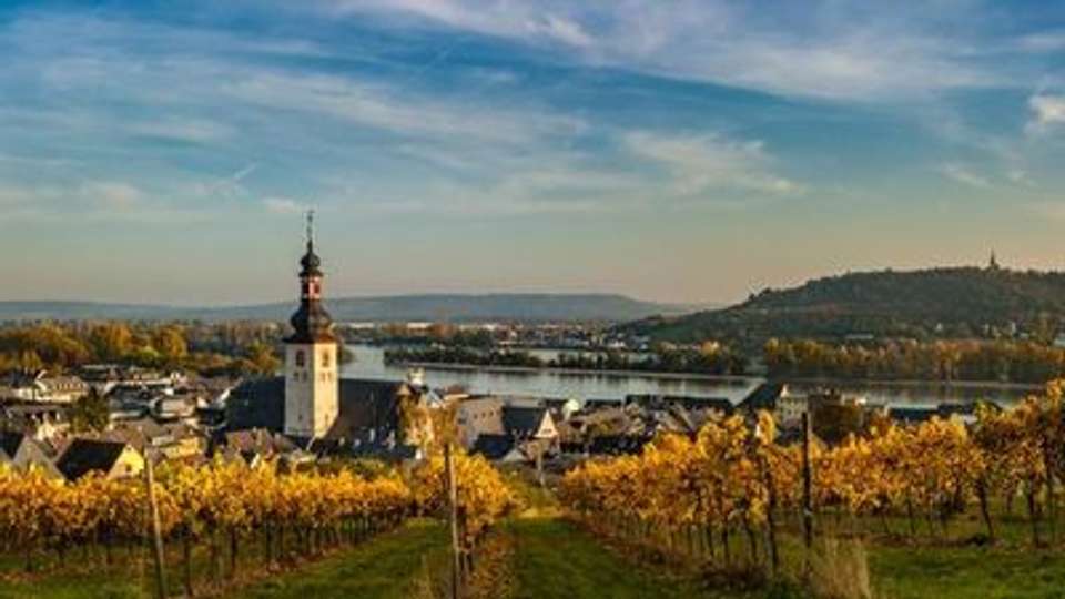 The Grand Rhine Festival, from Holland to the Romantic Rhine Valley - A cultural, gourmet and festive cruise (port-to-port cruise) - Croisieurope - Holland - Image 5
