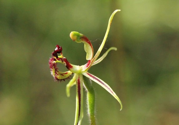 Image 5 of 13