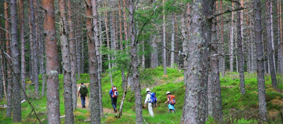 The Great Glen Way - Walkers' Britain - Scotland - Image 6