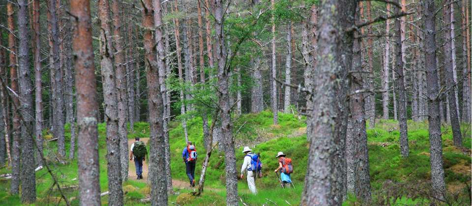 The Great Glen Way - World Expeditions - Scotland - Image 6