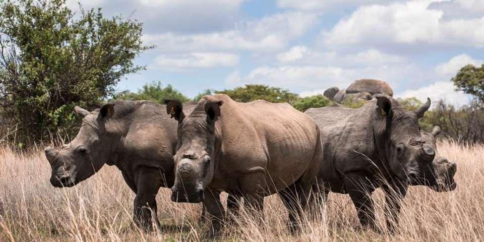 Journeys: The Great Southern Africa Safari - G Adventures - South Africa - Image 1