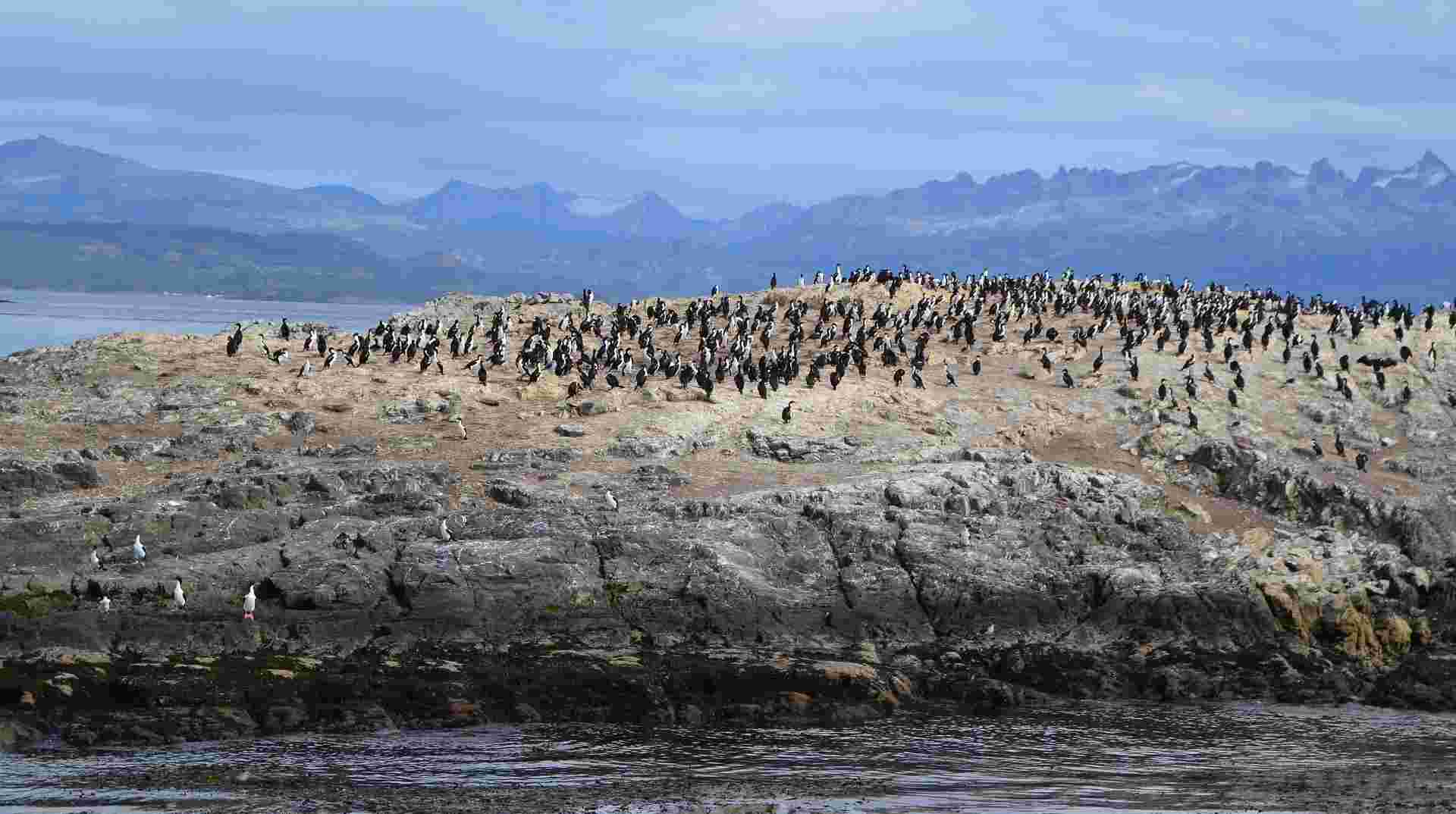 The Great Tour of Argentina: 18 Nights