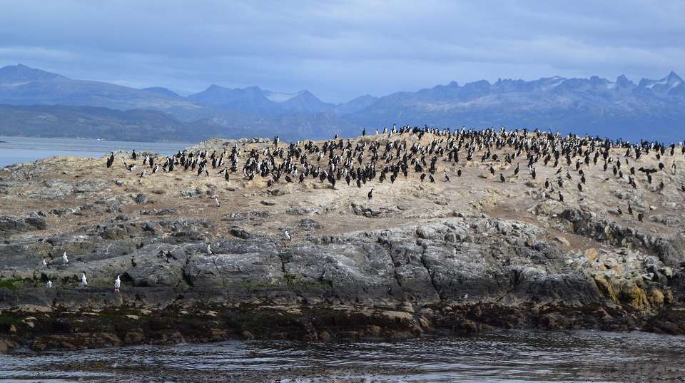 The Great Tour of Argentina: 18 Nights - Ripioturismo - Argentina - Image 1