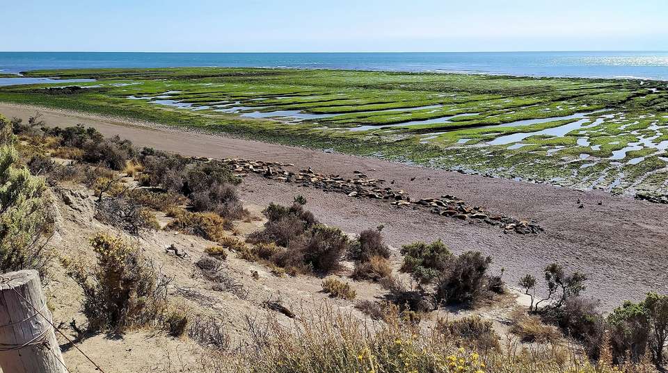 The Great Tour of Argentina: 18 Nights - Ripioturismo - Argentina - Image 3